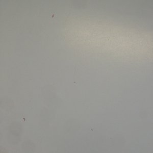ImageUploadedByTapatalk1374677162.133417.jpg