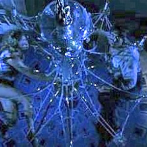 war-of-roses-chandelier.jpg