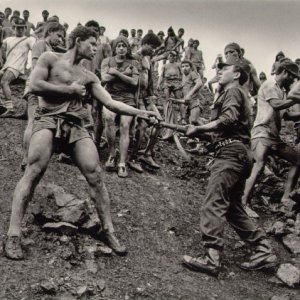 salgado.jpg