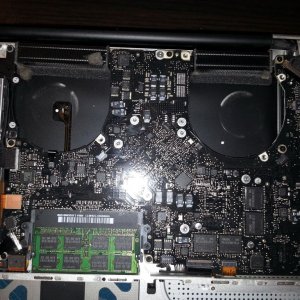 MOBO1.jpg