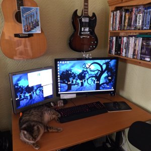 Both Monitors.jpg