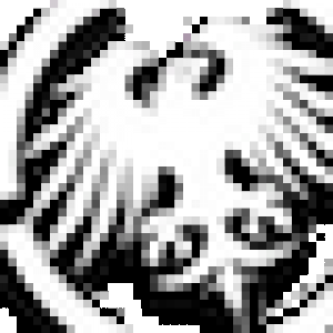 nscowhiteETCHED.png