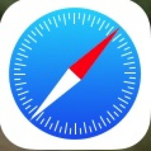 Safari.jpg