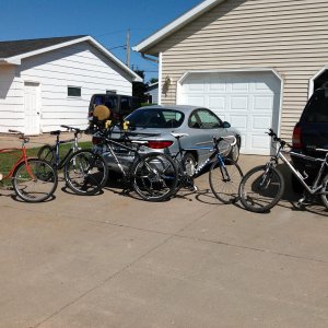 Bike Collection.jpg