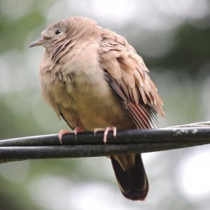 DSCN3153.jpg