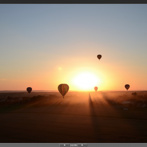 Opened in view NX2.png