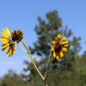 IMG_0141.JPG