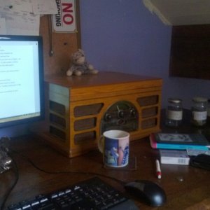 WP_20130910_004.jpg