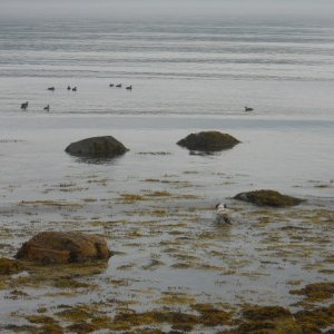 DSCN0437.JPG