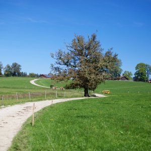 Dietramszell-2013-10-03at13-31-40#IMG_0610.jpg
