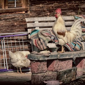 IMG_2391_HDR.jpg