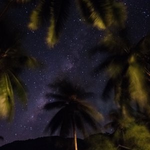 Bottle Beach Night-13.jpg