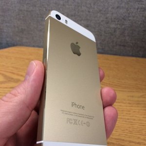 gold5s.jpg
