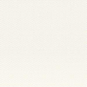 iphone5swhitewp3.jpg