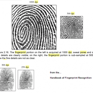 fingerprint_pores.png
