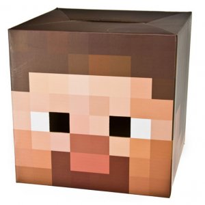 Minecraft-Steve-or-Creeper-Heads.jpg
