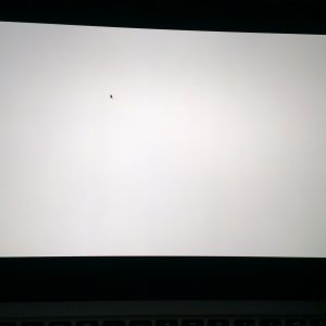 IMAG0091_BURST004.jpg