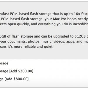 PCIe storage.jpg