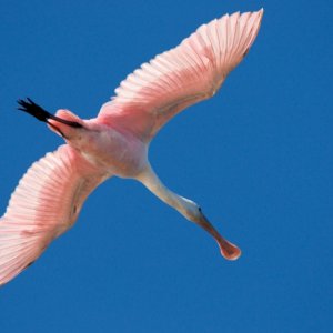 _CCR6278 - Version 2.jpg