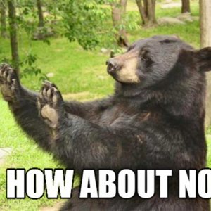 01-how-about-no-bear.jpg