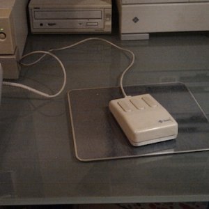 IMAG0228.jpg