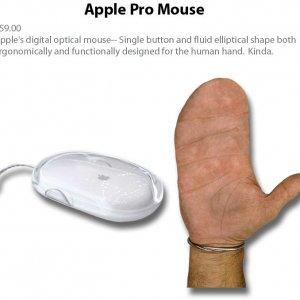Apple_823832_2979885.jpg