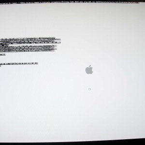 graphic-card4.jpg