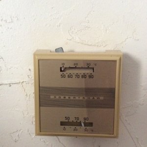 IMG_0282.jpg