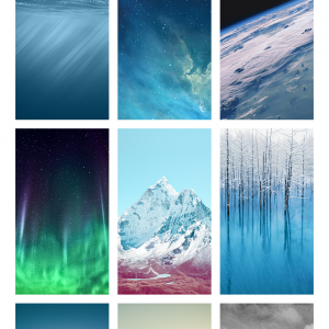 IMG_6494.PNG