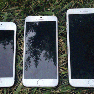 iPhone 5_6.gif