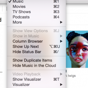 Screen Shot 2014-08-21 at 2.47.21 PM.png