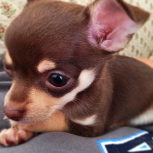 2014-09-04 12.56.42.jpg