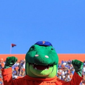 Alligator 02.jpg