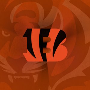 Bengals.jpg