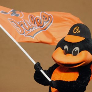 bal-the-best-orioles-to-follow-on-twitter-pict-001.jpeg