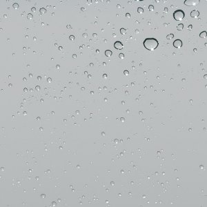 Rain Drops.jpg