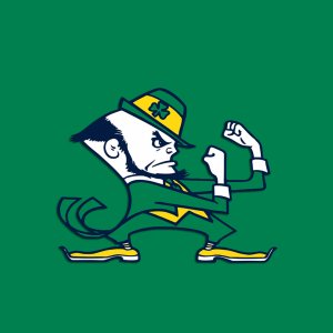 Fighting Irish.jpg