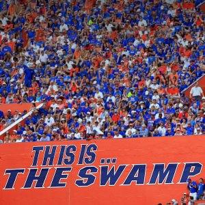 Swamp.jpg
