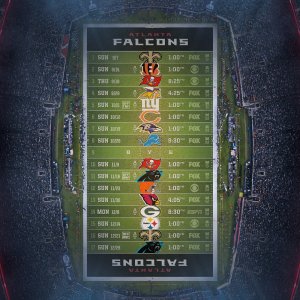Falcons 2.jpg