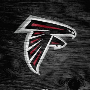 Falcons 3.jpg