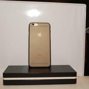 394C2521.JPG