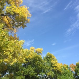 ImageUploadedByTapatalk1411830994.032219.jpg