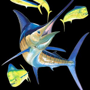 Fish 02.jpg