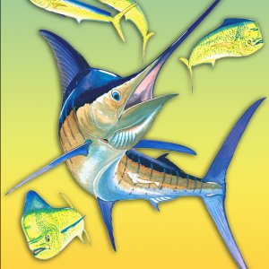 Fish 05.jpg