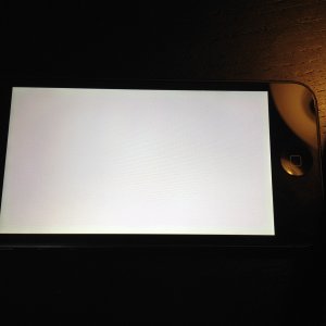Photo 3.jpeg