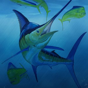 Fish 06.jpg