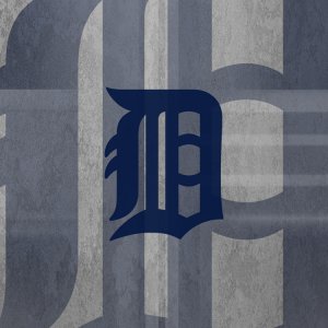 Tigers 02.jpg