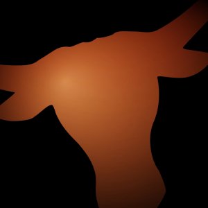 Longhorns fade.jpg