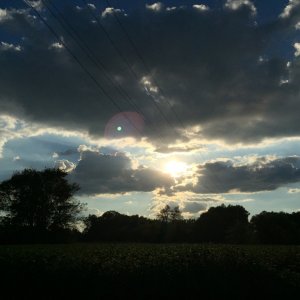 ImageUploadedByTapatalk1412108967.070614.jpg