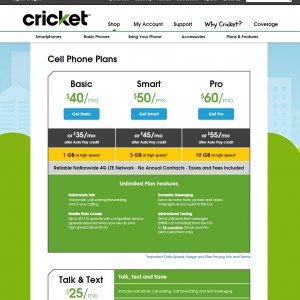 cricket.jpg
